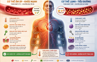  THÂN NHIỆT & ĐƯỜNG HUYẾT: MỐI LIÊN HỆ ÍT NGƯỜI NHẬN RA
