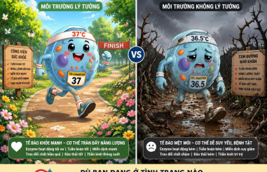 SỨC KHỎE DỄ MẤT NHƯNG CŨNG KHÔNG PHẢI LÀ KHÔNG THỂ TÌM LẠI, CHỈ CẦN BẠN BIẾT CÁCH