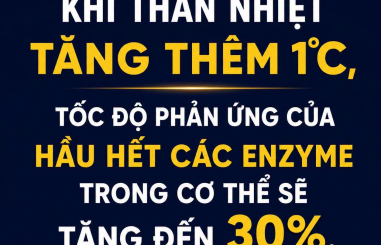 BẠN MUỐN CÓ MỘT HỆ TIÊU HÓA TỐT